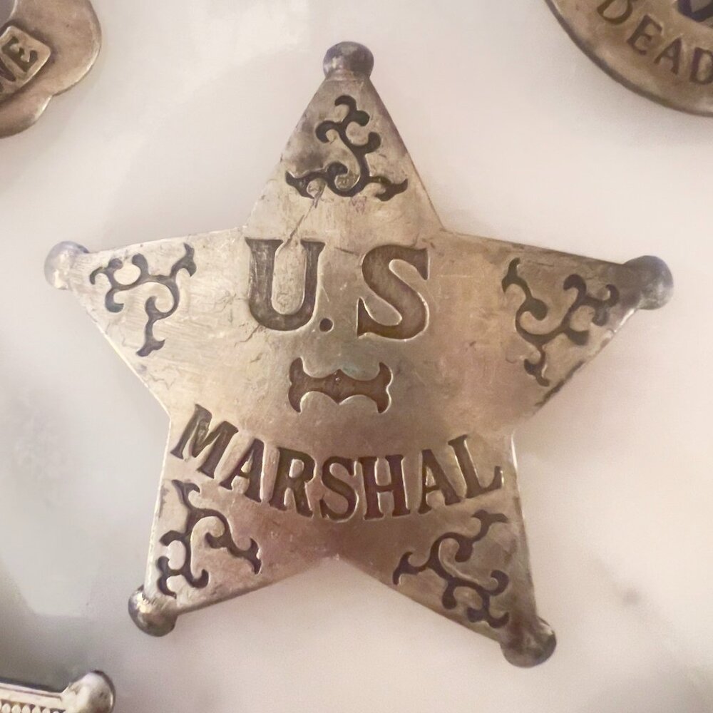 Set of 5 Marshal and Prison Guard Badges - Picture 3 of 6